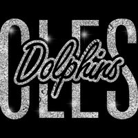 GLT95 SILVER GLITTER Thumbnail